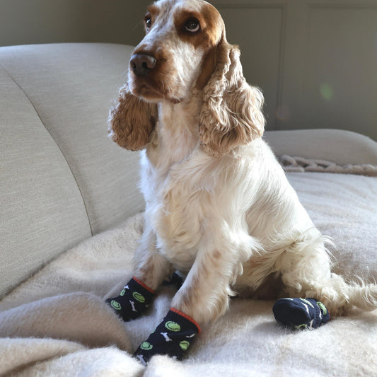 Ball & Bones - Boys Dog Socks