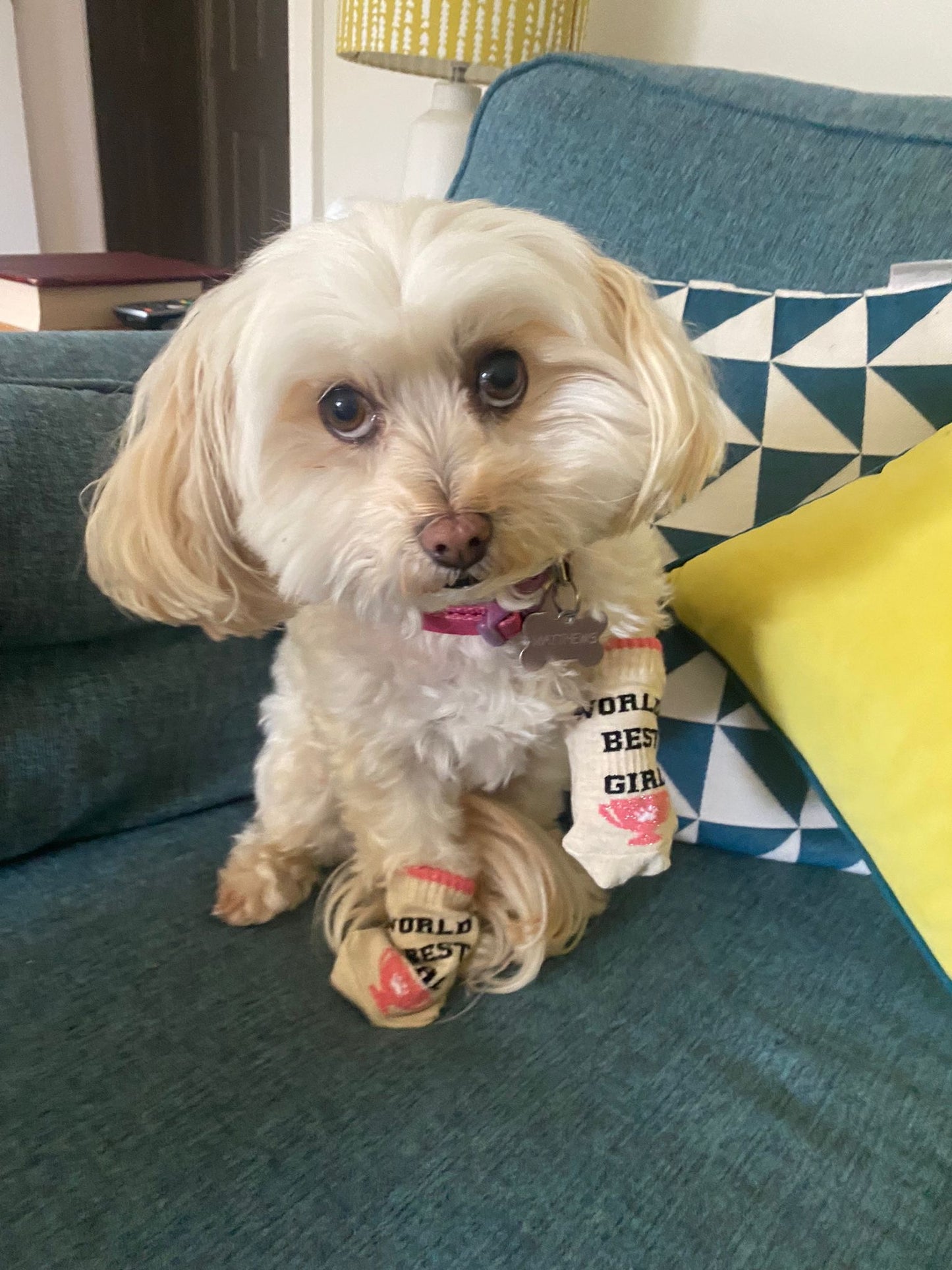 World's Best Girl - Girls Dog Socks