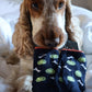 Ball & Bones - Boys Dog Socks